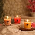 Iris Home Fragrances Fragranced shot glass candles Pack of 3 -Damask Rose- Mango sorbet- Peach Pomogranate- 40g each- Burn time 8 hrs per candle
