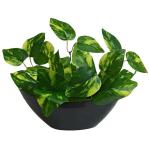 CUREASY Fancy Mart Artificial Money Plant Leaves with Boat Pot (Green)