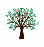 WOLPEP Multicolor Vinyl Green Tree Wall Sticker