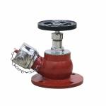 PYRO GUARD  FIRE Hydrant Valve SS