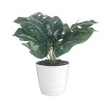 Foliyaj Artificial Money Plant With 9 Large Leaves in White Melamine Pot 14 x 14 cm