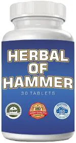 Herbal Of Hammer 100% Ayurvedic Tablets Daily Wellness For Immunity Booster