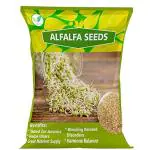 i Agri Farm Organic Alfalfa Sprouting Seeds - 5 Kg / Perfect for Sprouting and Microgreens / Alfalfa Sprout Seed