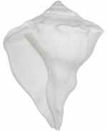 Zyana Energized Pure Copper Shree Videsh Yog Yantra for Pooja