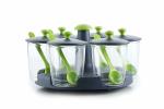 User Choise Plastic 360 Degree Revolving Pickle Jar with Spoons and Stand 200 ml (Set of 6)