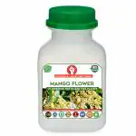 Erwon Mango Flower Fertilizer for getting more Flowers in Mango Plant. (100 ml)