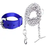 SUPER CHAIN Dog Belt Combo Nylon Collar with Heavy Chain Leash Dog Collar & Leash (Medium, Blue)