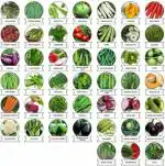 Rosemary Organic 45 Variety Fruits and Vegetable Seeds 2550 Piece