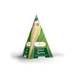 JPSR Sweet Kewra Premium Incense Cones