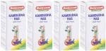 Baidyanath (Jhansi) Kamdudha Ras with Pearl Ayurvedic Medicine (4 Packs, 50 Tablets in Each Pack)
