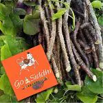 Go Siddhi Gurcha Gulvel ( 21)