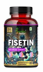 Humming Herbs Fisetin 570mg Advanced Formula - Anti-Inflammatory & Antioxidant Support Supplement with EGCG, Curcuminoids, N-Acetyl Cysteine, Astaxanthin - Energy Boost & Focus - 60 Capsules