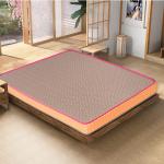 NestiN Mattress Premium Plush Foam Mattress Single size(75*35*6Inch)