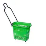 Bigapple Heavy Weight King Shopping Trolley, Load Capacity 42 L (Green)