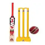 CW Bounty Practice Cricket Kit Adult Kashmir Willow Bat Leather 2 PCE Ball Plastic Stumps & Bails
