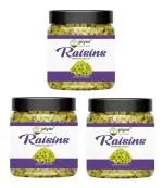 PIYOR Natural Premium Green Raisins Raw Kishmish 450g Combo of 3 Raisins (3 x 150 g)