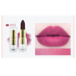 SOLT Professional high pigmented lipstick