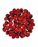 ZYANA Godddess Lakshmi Red Chirmi Beads (21 pc)