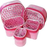 Aadhya SET OF 5 PIECE KIT FOR MAKEUP SHAVING JEWELLERIES STORAGE makeup and jewellery Vanity Box (Pink)