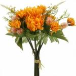 XOLDA Exotic Coleus Rainbow Mix Seed (61 per packet)