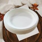 Amit Marketing White Sugarcane Bagasse Disposble Plate, 6 Inch (Set Of 50)