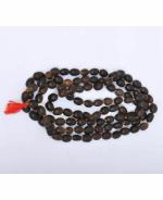Zyana Jai Maa Ganga Rudraksh Lotus Seeds Mala 108 with 1 Beads for Lakshmi Pooja and Meditation