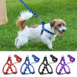 PSK Pet Mart Dogs Leash With Harness (Multicolor)