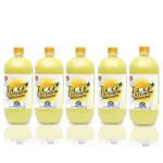 ECO HYGIENE+ Natural Floor Cleaner 5 Liter(1L, Pack of 5)