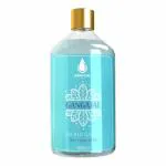 Gangajallife Gangajal for Puja -Pure and Original from Haridwar - 1 Bottle - Ganga jal for Puja - Rituals and Religious Rites 500 ml