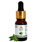 Hillpure Organic Tea Tree Essential Oil | For Skin, Hair & Aromatherapy | 100% Pure & Natural | Acne, Healthy Scalp | 10 ml