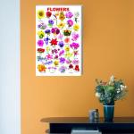 Surmul Multicolor Vinyl, Sunboard Medium Flower Name Chart Art Wall Adhesive Sticker