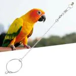 Taiyo Pluss Discovery Bird Leg Chain Foot For Training Stainless Steel With Ring Sunconure Conure