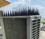 PIGEONO Bird Spikes for Pigeon Control