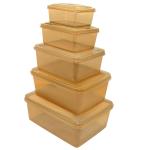 Shop A thon India Plastic Multipurpose Storage Box 300 ml (Pack Of 5)