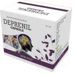 POLY CARE Deprenil Capsule ( 10 X 10 Cap. Blister Pack ) |Reduce Mental Stress | Made With Jyotishmati ext., Sarpgandha Ext. And Other 5 Ayurvedic Ingredients.