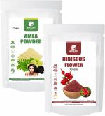 Amazercare Hibiscus + Amla Powders Combo 100% Natural For Hair & Growth (2 Pouches, 175Gm Each) Anti Dandruff Hair Care Combo
