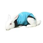 Maxx Aqua Blue E Collar Alternative After Surgery Wear Pet Clothing Recovery Shirt For Rabbits