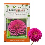 FARMGOKART | PACK OF 1000 ZINNIA PURPLE FLOWER SEEDS | GROWER/ NURSERY PACK FOR GARDENING