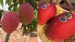 Online Plant Bazar Red Japanese Miyazaki Mango Live Plant