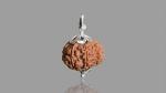 Feel Touch Mart Nau Mukhi Genuine & Natural Nine Face 9 Mukhi Nepal Rudraksha by Lab Certified