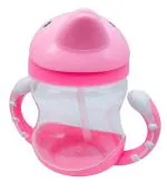Te Quiti Pink Glass Leakproof Durable BPA Free Non-Toxic Baby Sipper With Straw 320ml