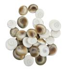 Spillbox Gomati | Gomathi Chakra | Chakram for Lakshmi Pooja | Puja, Wealth, Luck, Astrology - 31