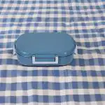 HOUSEFILLERS Stainless Steel Insulated Lunch Box Snapsteel - 650 Ml