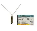 Divinity Crystals Original Pyrite Pencil Certified Locket Pendant With Chain For Men And Women