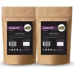 Herb Essential Pure Guduchi Or Giloy Powder For Immunity - 100 g (Pack of 2)
