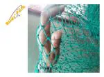 Birds' Park Anti Bird Net (HDPE) 1.5mm-Size:20x10' -Good for All Season, no Effect of Sun or rain