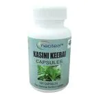 Neotea Cichorium Intybus Capsules 500 mg - 100 Pcs