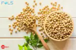 FOLS ORGANIC SOYABEAN | YELLOW SOYBEAN WHOLE | 1.5 KG