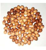 Pmw - Rarest Type of Gunja - Yellow Gunja - Rosary Pea - Set of 11 Seeds - Chirmi Seeds - Guriginja - Guruvinda