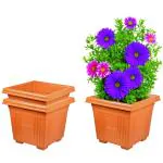 Sqrrl Flower Pots for Home Decoration for Plants, Plastic Plant Pot for Garden Big Size, Planters Plantoos for Small Thulasi Madam in 7 inch